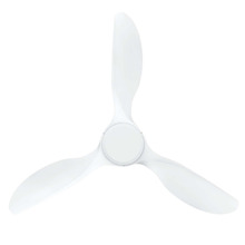 Ranger RWS DC Ceiling Fan with Remote Control